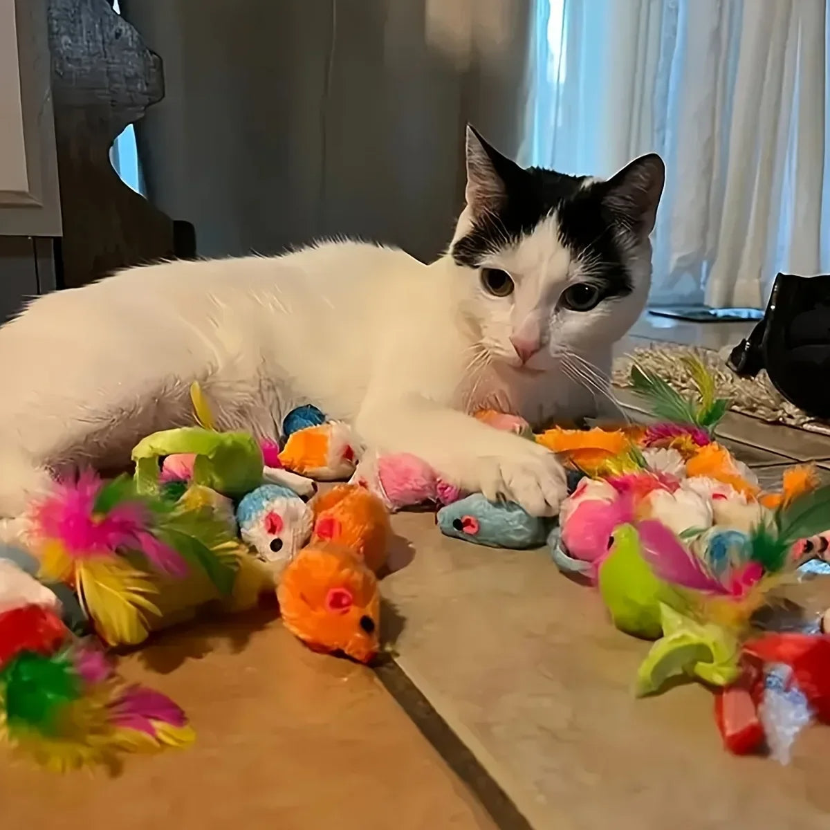 Cat Toy Variety Pack (56 / 28 / 14 Pieces)
