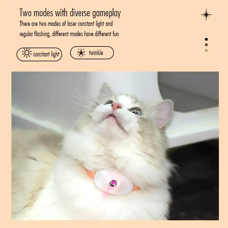 Cat laser collar