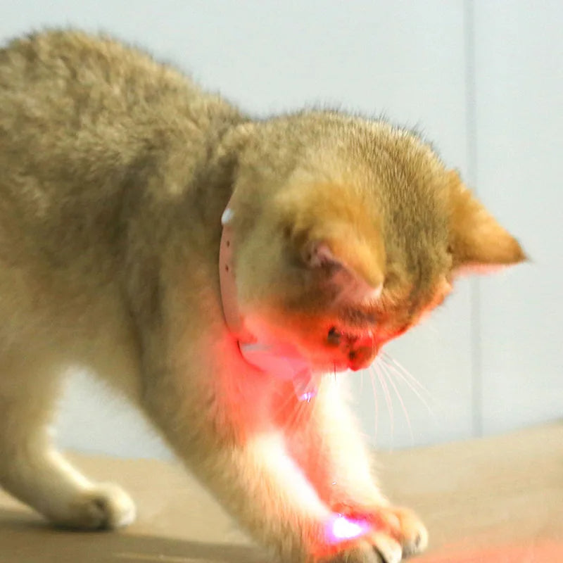Cat laser collar
