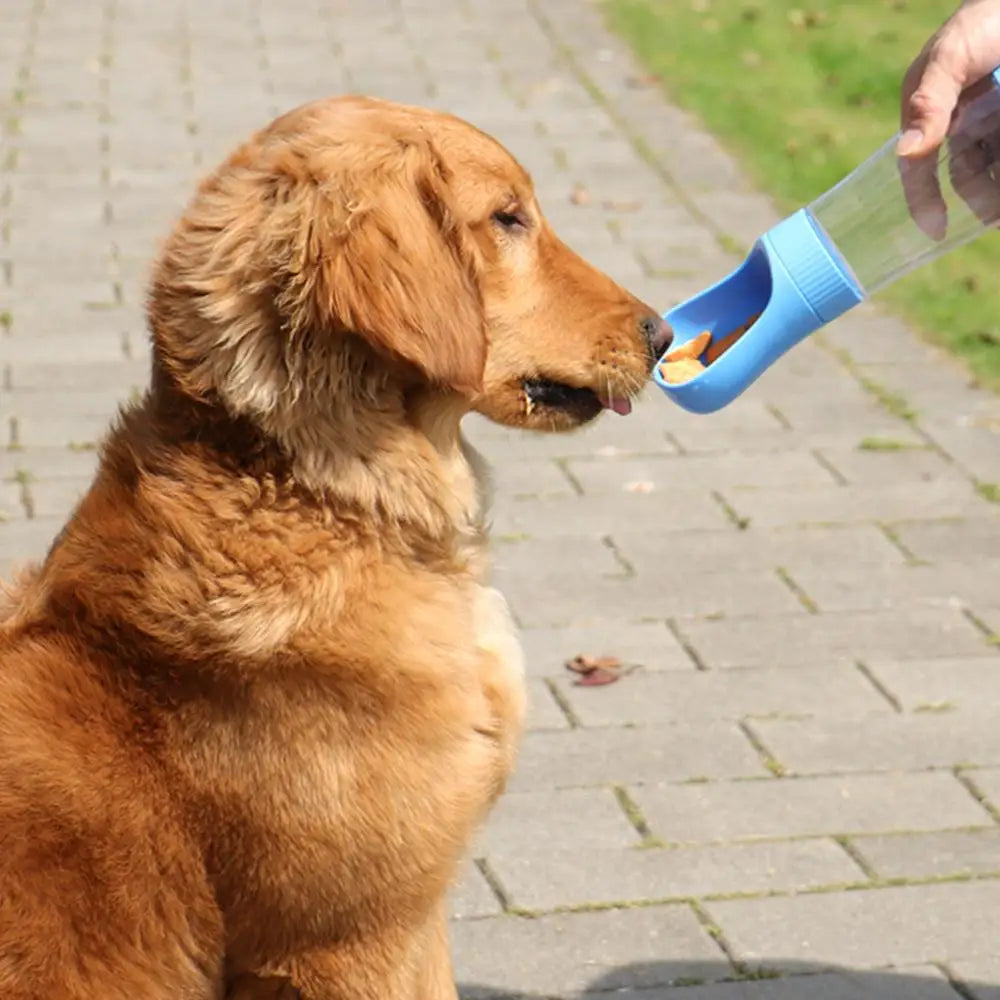Portable Dog Water Bottle With Food Container Travel 2 in 1 Pet Water Dispenser For Small Large Dogs Cat Labrodor Drinking Bowls