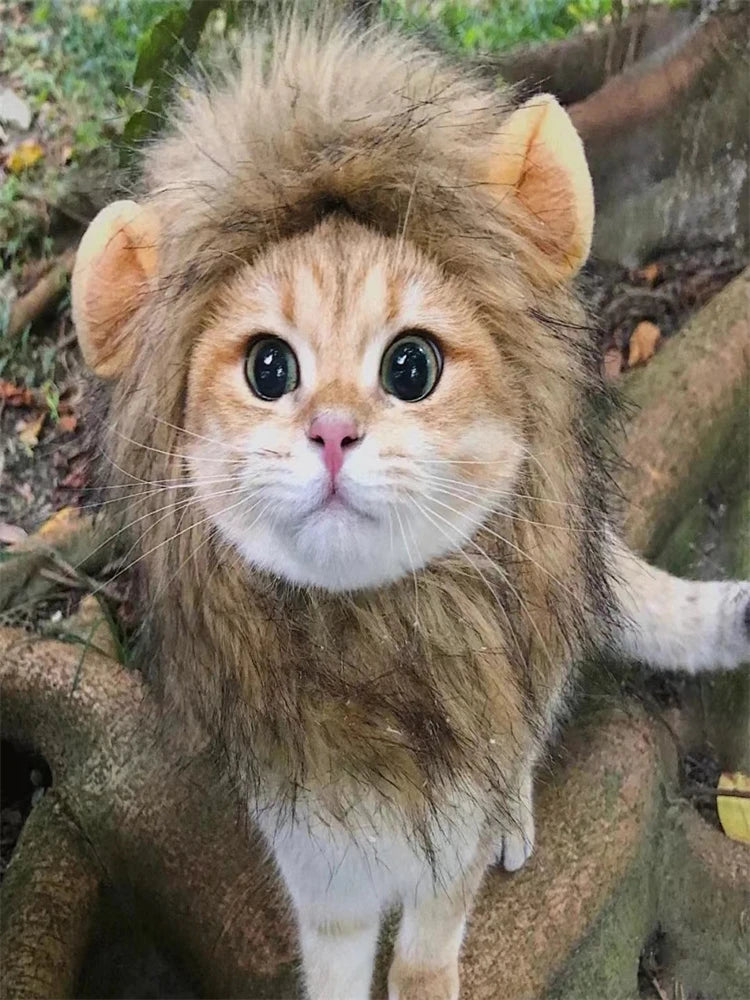 π Your Pet, Soon to Be King (or Queen) of the Jungle! π¦π±πΆ