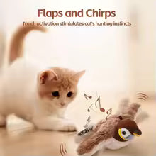 Cat flying Bird Toy