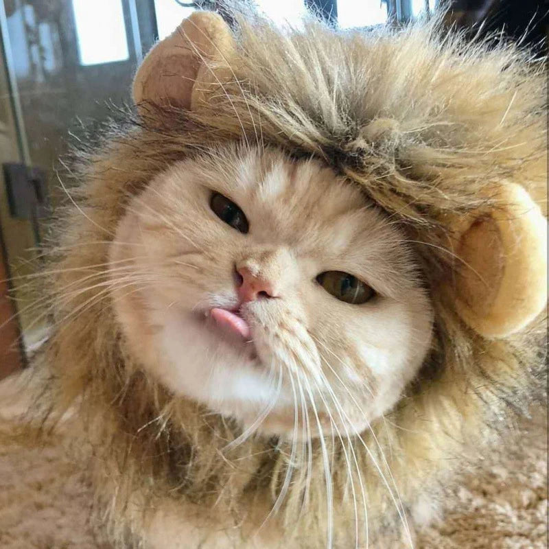 π Your Pet, Soon to Be King (or Queen) of the Jungle! π¦π±πΆ
