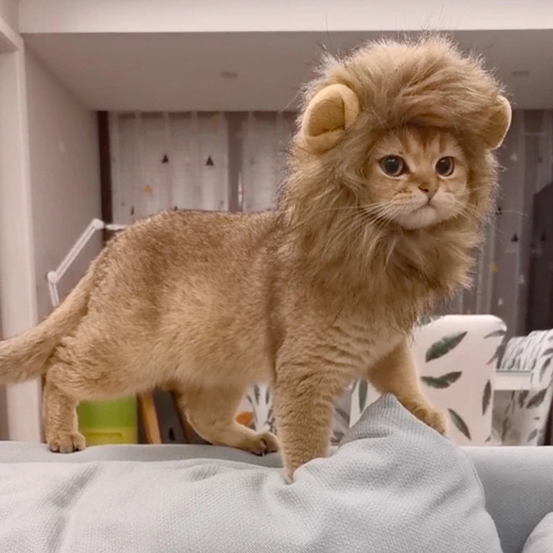 π Your Pet, Soon to Be King (or Queen) of the Jungle! π¦π±πΆ