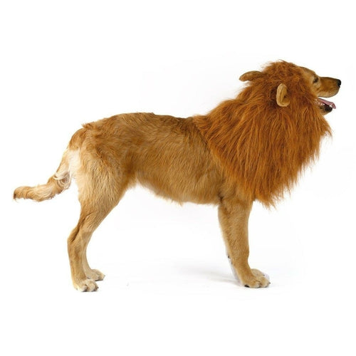 π Your Pet, Soon to Be King (or Queen) of the Jungle! π¦π±πΆ