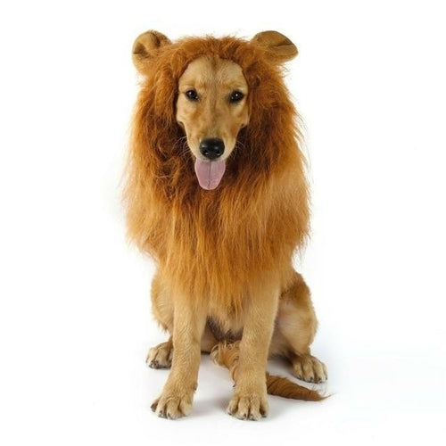 π Your Pet, Soon to Be King (or Queen) of the Jungle! π¦π±πΆ