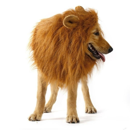 π Your Pet, Soon to Be King (or Queen) of the Jungle! π¦π±πΆ