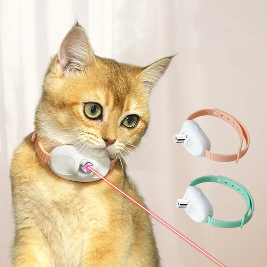 Cat laser collar